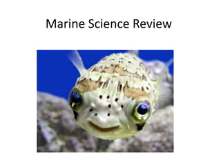 Marine Science Review
 