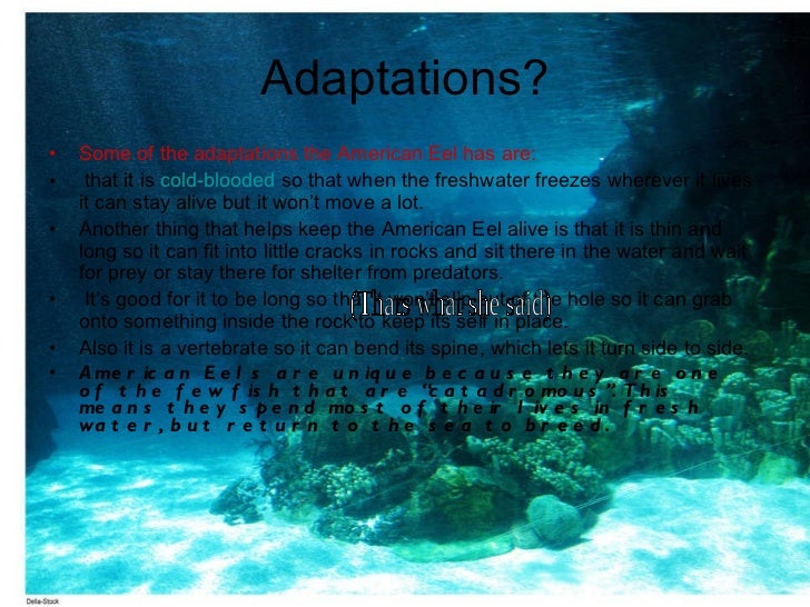 Marine science project