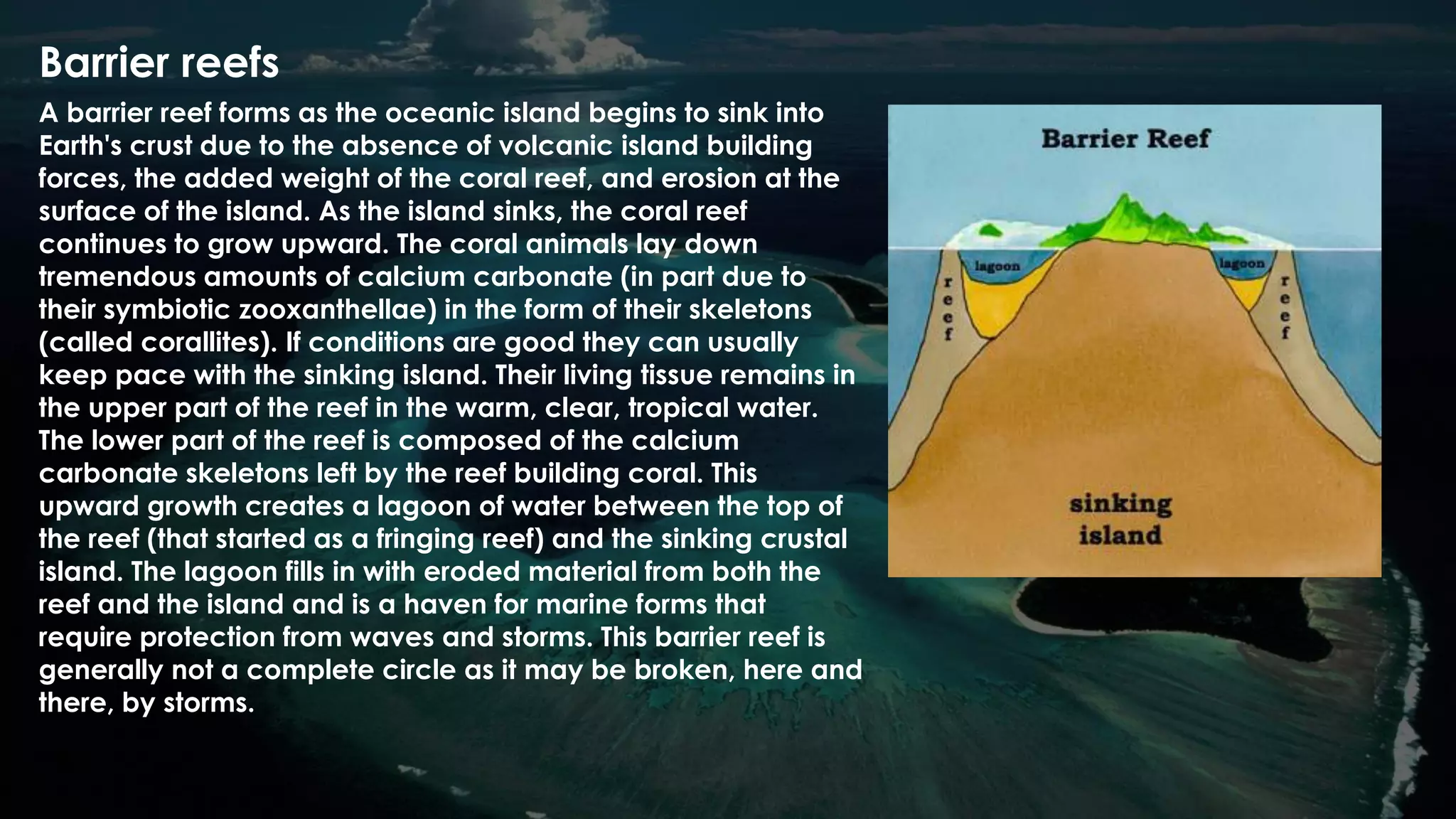 Barrier reefs
A barrier reef forms as the oceanic island begins to sink into
Earth's crust due to the absence of volcanic island building
forces, the added weight of the coral reef, and erosion at the
surface of the island. As the island sinks, the coral reef
continues to grow upward. The coral animals lay down
tremendous amounts of calcium carbonate (in part due to
their symbiotic zooxanthellae) in the form of their skeletons
(called corallites). If conditions are good they can usually
keep pace with the sinking island. Their living tissue remains in
the upper part of the reef in the warm, clear, tropical water.
The lower part of the reef is composed of the calcium
carbonate skeletons left by the reef building coral. This
upward growth creates a lagoon of water between the top of
the reef (that started as a fringing reef) and the sinking crustal
island. The lagoon fills in with eroded material from both the
reef and the island and is a haven for marine forms that
require protection from waves and storms. This barrier reef is
generally not a complete circle as it may be broken, here and
there, by storms.
 