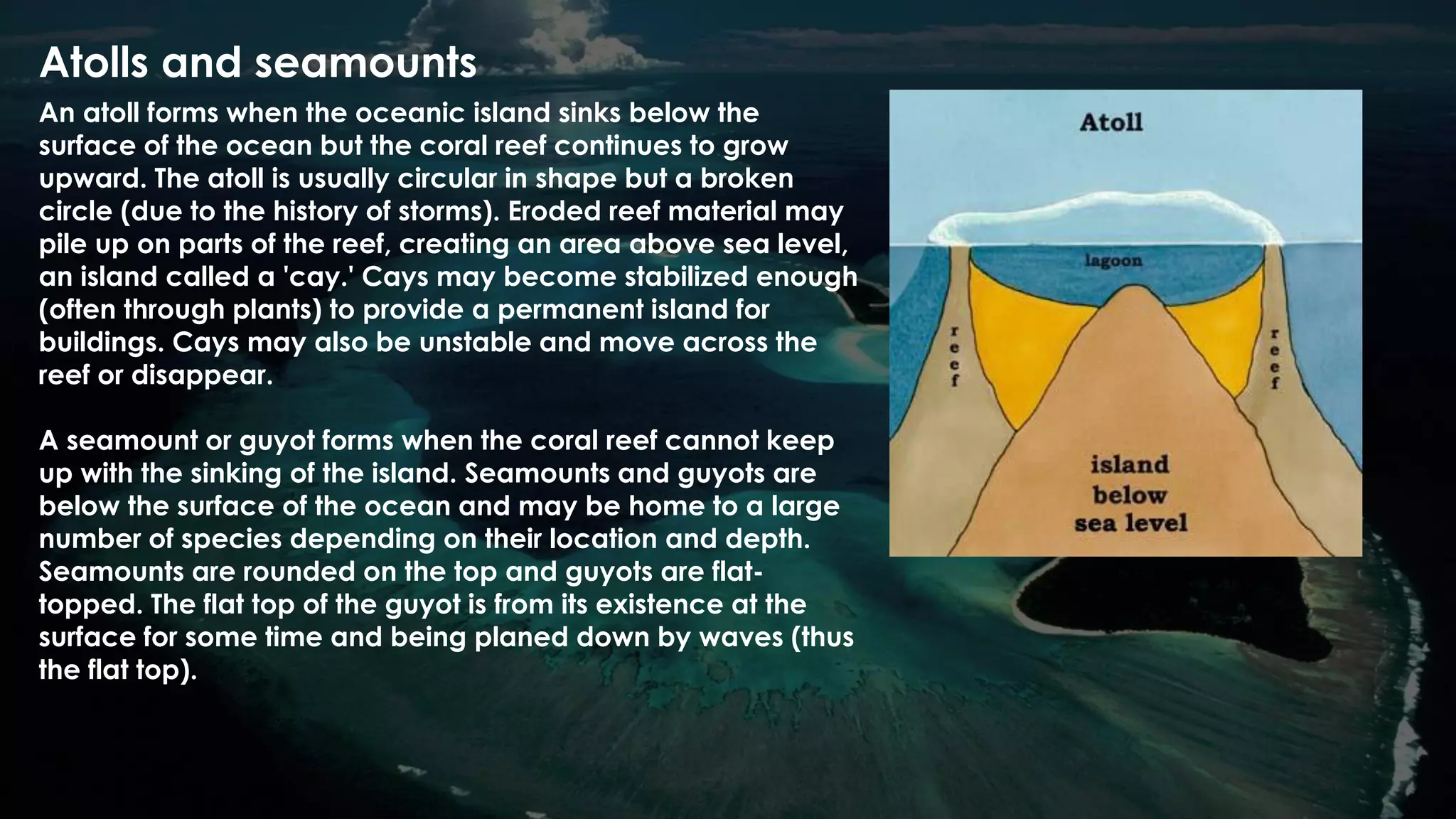 Atolls and seamounts
An atoll forms when the oceanic island sinks below the
surface of the ocean but the coral reef continues to grow
upward. The atoll is usually circular in shape but a broken
circle (due to the history of storms). Eroded reef material may
pile up on parts of the reef, creating an area above sea level,
an island called a 'cay.' Cays may become stabilized enough
(often through plants) to provide a permanent island for
buildings. Cays may also be unstable and move across the
reef or disappear.
A seamount or guyot forms when the coral reef cannot keep
up with the sinking of the island. Seamounts and guyots are
below the surface of the ocean and may be home to a large
number of species depending on their location and depth.
Seamounts are rounded on the top and guyots are flat-
topped. The flat top of the guyot is from its existence at the
surface for some time and being planed down by waves (thus
the flat top).
 