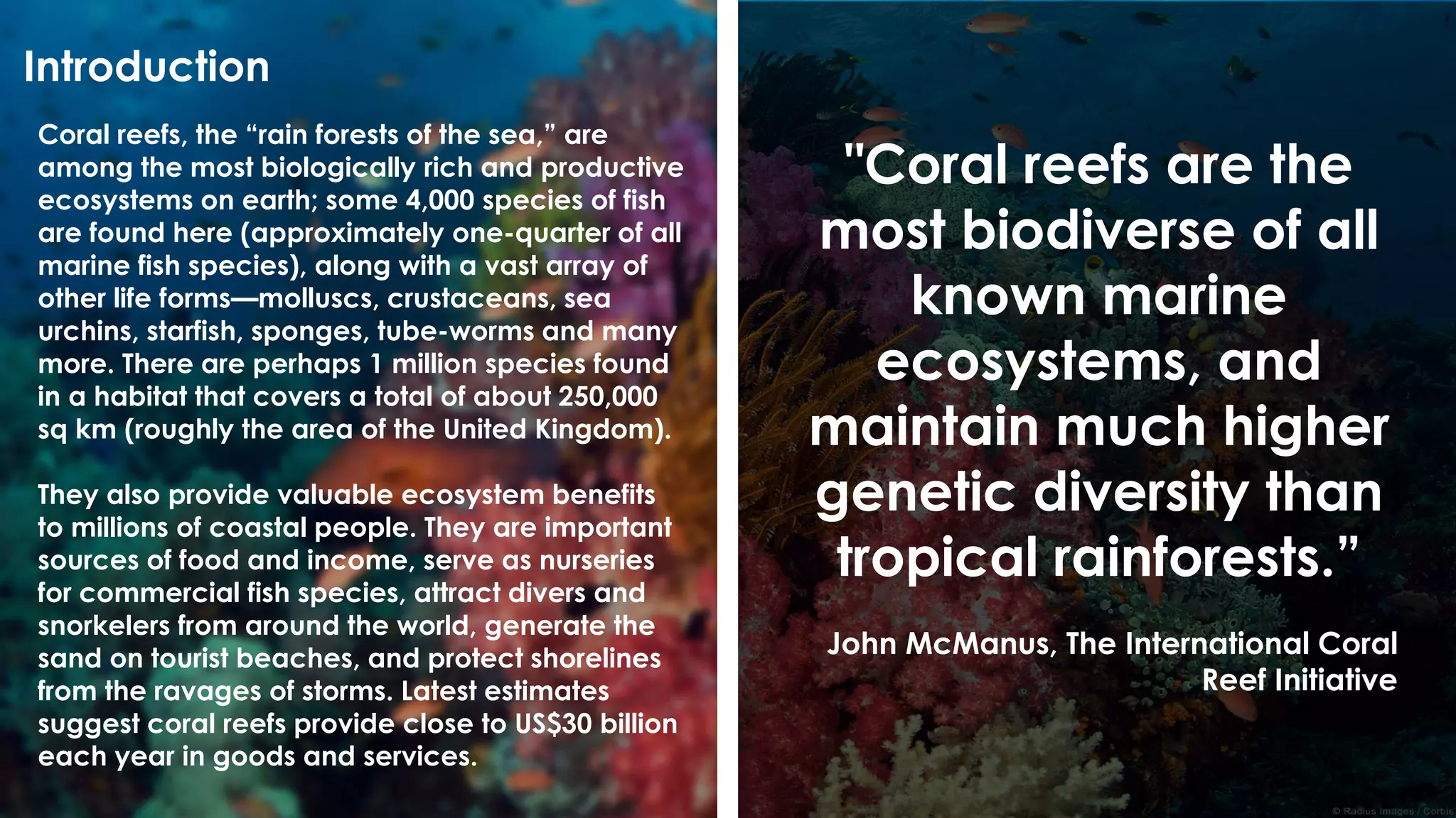 Coral reefs, the “rain forests of the sea,” are
among the most biologically rich and productive
ecosystems on earth; some 4,000 species of fish
are found here (approximately one-quarter of all
marine fish species), along with a vast array of
other life forms—molluscs, crustaceans, sea
urchins, starfish, sponges, tube-worms and many
more. There are perhaps 1 million species found
in a habitat that covers a total of about 250,000
sq km (roughly the area of the United Kingdom).
They also provide valuable ecosystem benefits
to millions of coastal people. They are important
sources of food and income, serve as nurseries
for commercial fish species, attract divers and
snorkelers from around the world, generate the
sand on tourist beaches, and protect shorelines
from the ravages of storms. Latest estimates
suggest coral reefs provide close to US$30 billion
each year in goods and services.
"Coral reefs are the
most biodiverse of all
known marine
ecosystems, and
maintain much higher
genetic diversity than
tropical rainforests.”
John McManus, The International Coral
Reef Initiative
Introduction
 