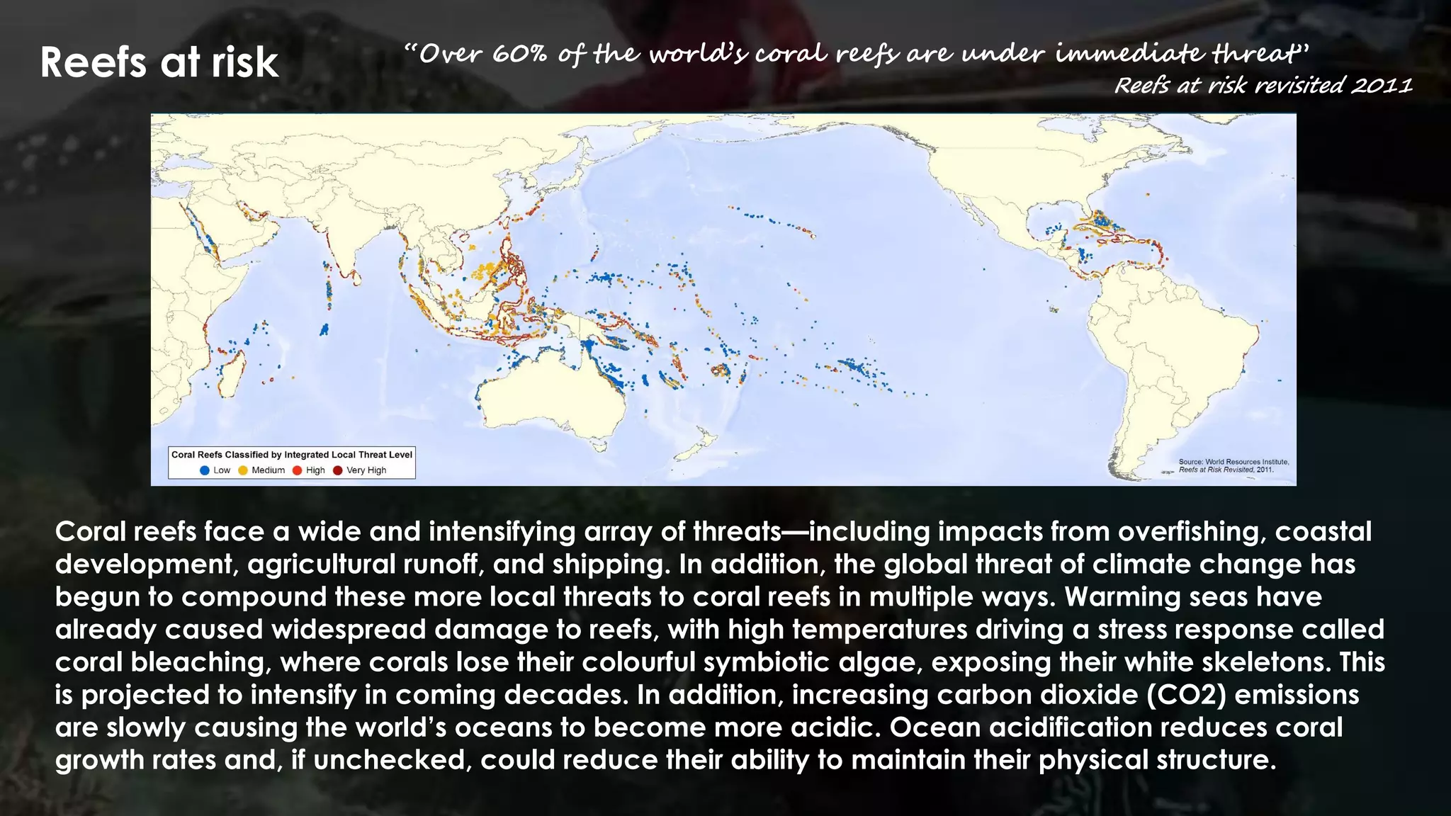 Coral reefs face a wide and intensifying array of threats—including impacts from overfishing, coastal
development, agricultural runoff, and shipping. In addition, the global threat of climate change has
begun to compound these more local threats to coral reefs in multiple ways. Warming seas have
already caused widespread damage to reefs, with high temperatures driving a stress response called
coral bleaching, where corals lose their colourful symbiotic algae, exposing their white skeletons. This
is projected to intensify in coming decades. In addition, increasing carbon dioxide (CO2) emissions
are slowly causing the world’s oceans to become more acidic. Ocean acidification reduces coral
growth rates and, if unchecked, could reduce their ability to maintain their physical structure.
Reefs at risk “Over 60% of the world’s coral reefs are under immediate threat”
Reefs at risk revisited 2011
 
