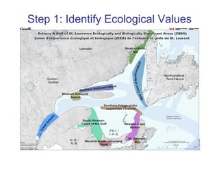 Marine Spatial Planning Decision Support Tools Development in Canada