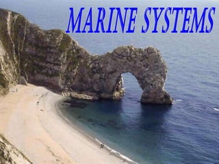 Marine Systems 