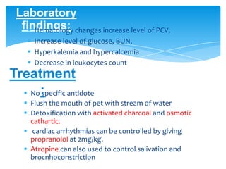  No specific antidote
 Flush the mouth of pet with stream of water
 Detoxification with activated charcoal and osmotic
cathartic.
 cardiac arrhythmias can be controlled by giving
propranolol at 2mg/kg.
 Atropine can also used to control salivation and
brocnhoconstriction
Treatment
:
Laboratory
findings: Hematology changes increase level of PCV,
 Increase level of glucose, BUN,
 Hyperkalemia and hypercalcemia
 Decrease in leukocytes count
 