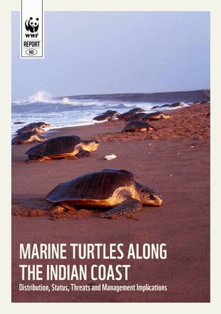 MARINE TURTLES ALONG
THE INDIAN COAST Implications
Distribution, Status, Threats and Management
1

 