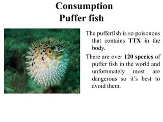 Puffer fish
The pufferfish is so poisonous
that contains TTX in the
body.
There are over 120 species of
puffer fish in the world and
unfortunately most are
dangerous so it’s best to
avoid them.
Consumption
 