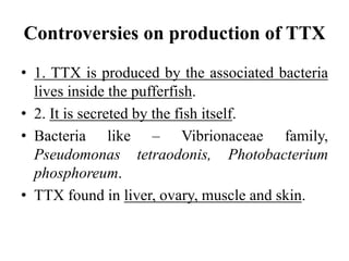 Controversies on production of TTX
• 1. TTX is produced by the associated bacteria
lives inside the pufferfish.
• 2. It is secreted by the fish itself.
• Bacteria like – Vibrionaceae family,
Pseudomonas tetraodonis, Photobacterium
phosphoreum.
• TTX found in liver, ovary, muscle and skin.
 
