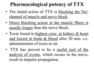 Pharmacological potency of TTX
• The initial action of TTX is blocking the Na+
channel of muscle and nerve block.
• Direct blocking action in the muscle fibers is
usually longer than the nerve block.
• Toxin found in highest conc. in kidney & heart
and lowest in brain & blood after 20 min. s.c.
administration of toxin in rat.
• TTX has proved to be a useful tool of the
analysis of events, which occurs in the nerve,
result in impulse propagation.
 