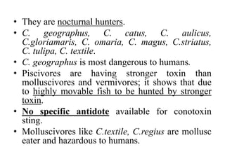 • They are nocturnal hunters.
• C. geographus, C. catus, C. aulicus,
C.gloriamaris, C. omaria, C. magus, C.striatus,
C. tulipa, C. textile.
• C. geographus is most dangerous to humans.
• Piscivores are having stronger toxin than
molluscivores and vermivores; it shows that due
to highly movable fish to be hunted by stronger
toxin.
• No specific antidote available for conotoxin
sting.
• Molluscivores like C.textile, C.regius are mollusc
eater and hazardous to humans.
 