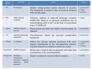 Type of
Conotoxin
Site of action Details Species
 Mu Na channel Inhibits voltage-graded sodium channels in muscles.
The mechanism is similar to that of saxitoxin produced
from red tide algae.
C. geographus
C. tulipa
C. striatus
 Rho Alpha adrenal
receptors
Allosteric inhibitor of alpha-1B adrenergic receptors
(ADRA1B). Binds to an allosteric modulatory site on
transmembrane helix 6 and 7 at the base of extracellular
loop 3 of ADRA1B.
C. tulipa
 Sigma Affects serotonin
activity
Sigma-conotoxins bind and inhibit serotonin-gated ion
channels.
C. geographus
 Chi Neuronal adrenergic
transporter
Chi-conotoxins inhibit the neuronal noradrenaline
transporter.
C. marmoreus
 Omega Ca channel Affects the calcium channels associated with nerve
impulse transmission at the neuromuscular junction.
Calcium channels are related to sensitivity to pain.
C. geographus
C. textile
C. striatus
Conantokins NMDA receptors Blocks nerve impulses that use glutamic acid rather than
acetylcholine as the neurotransmitter.
C. geographus
Conopressin
s
Modulate
Vasopressin /
Oxytocin receptors
(Increases blood
pressure)
Targets vasopressin-oxytocin related receptors. C. textile
 