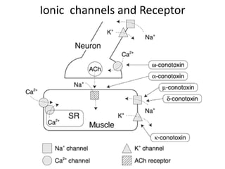 Ionic channels and Receptor
 