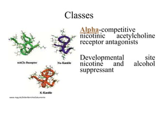 Classes
 Alpha-competitive
nicotinic acetylcholine
receptor antagonists
 Developmental site
nicotine and alcohol
suppressant
www.mpg.de/bilderBerichteDokumente
 
