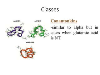 Classes
 Conantonkins
-similar to alpha but in
cases when glutamic acid
is NT.
 