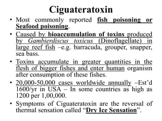 Ciguateratoxin
• Most commonly reported fish poisoning or
Seafood poisoning.
• Caused by bioaccumulation of toxins produced
by Gambierdiscus toxicus (Dinoflagellate) in
large reef fish –e.g. barracuda, grouper, snapper,
sea bass.
• Toxins accumulate in greater quantities in the
flesh of bigger fishes and enter human organism
after consumption of these fishes.
• 20,000-50,000 cases worldwide annually –Est’d
1600/yr in USA – In some countries as high as
1200 per 1,00,000.
• Symptoms of Ciguateratoxin are the reversal of
thermal sensation called “Dry Ice Sensation”.
 