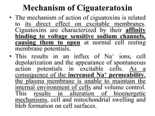 Mechanism of Ciguateratoxin
• The mechanism of action of ciguatoxins is related
to its direct effect on excitable membranes.
Ciguatoxins are characterized by their affinity
binding to voltage sensitive sodium channels,
causing them to open at normal cell resting
membrane potentials.
• This results in an influx of Na+ ions, cell
depolarization and the appearance of spontaneous
action potentials in excitable cells. As a
consequence of the increased Na+ permeability,
the plasma membrane is unable to maintain the
internal environment of cells and volume control.
This results in alteration of bioenergetic
mechanisms, cell and mitochondrial swelling and
bleb formation on cell surfaces.
 