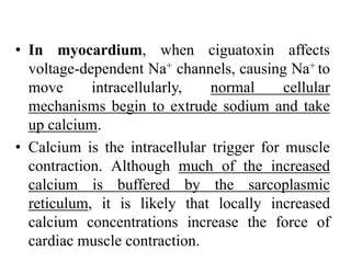 • In myocardium, when ciguatoxin affects
voltage-dependent Na+ channels, causing Na+ to
move intracellularly, normal cellular
mechanisms begin to extrude sodium and take
up calcium.
• Calcium is the intracellular trigger for muscle
contraction. Although much of the increased
calcium is buffered by the sarcoplasmic
reticulum, it is likely that locally increased
calcium concentrations increase the force of
cardiac muscle contraction.
 