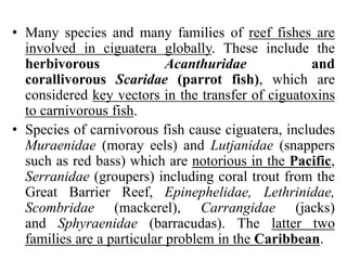 • Many species and many families of reef fishes are
involved in ciguatera globally. These include the
herbivorous Acanthuridae and
corallivorous Scaridae (parrot fish), which are
considered key vectors in the transfer of ciguatoxins
to carnivorous fish.
• Species of carnivorous fish cause ciguatera, includes
Muraenidae (moray eels) and Lutjanidae (snappers
such as red bass) which are notorious in the Pacific,
Serranidae (groupers) including coral trout from the
Great Barrier Reef, Epinephelidae, Lethrinidae,
Scombridae (mackerel), Carrangidae (jacks)
and Sphyraenidae (barracudas). The latter two
families are a particular problem in the Caribbean.
 