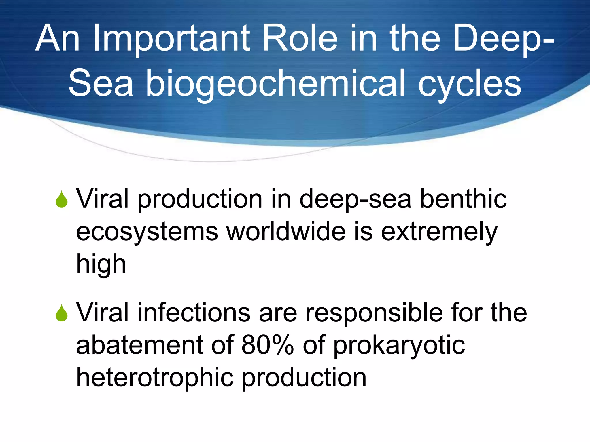 An Important Role in the Deep-Sea biogeochemical cycles Viral production in deep-sea benthic ecosystems worldwide is extremely high