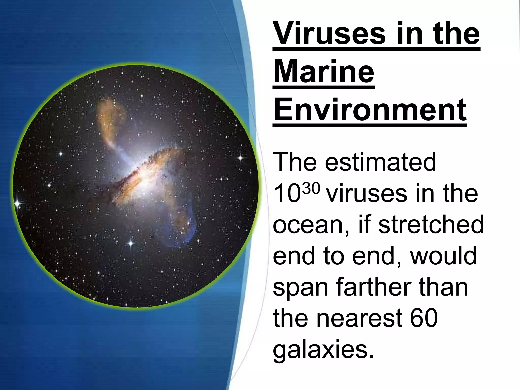 Viruses in the Marine EnvironmentThe estimated 1030 viruses in the ocean, if stretched end to end, would span farther than the nearest 60 galaxies. 