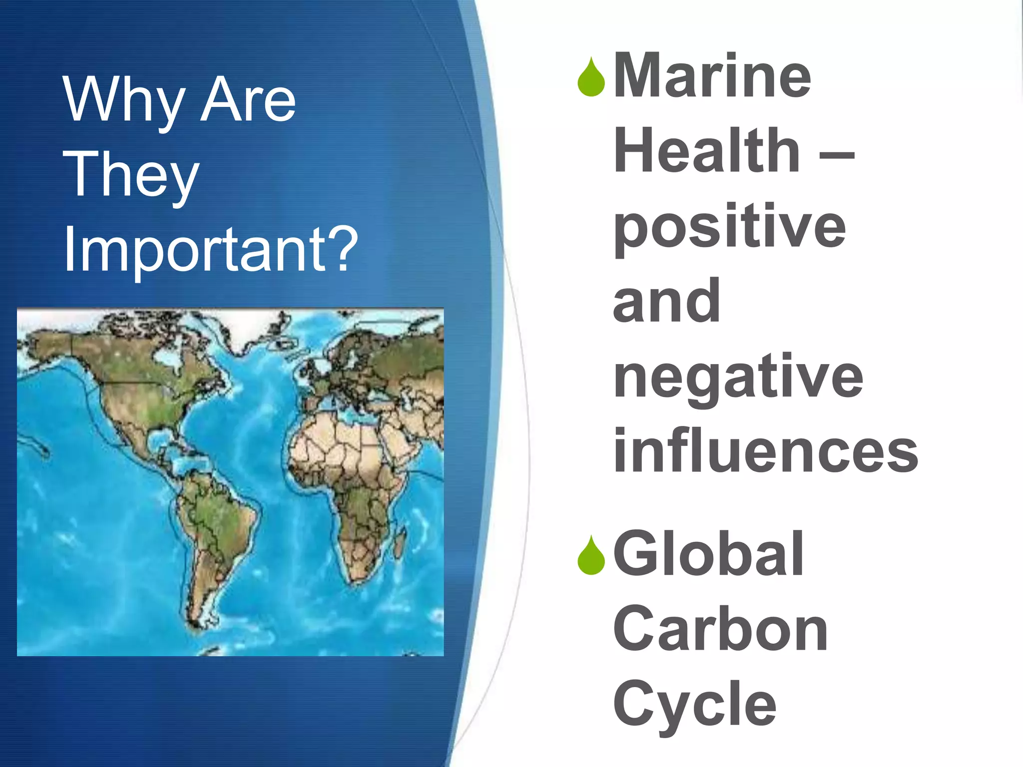 Why Are They Important?Marine Health – positive and negative influencesGlobal Carbon Cycle