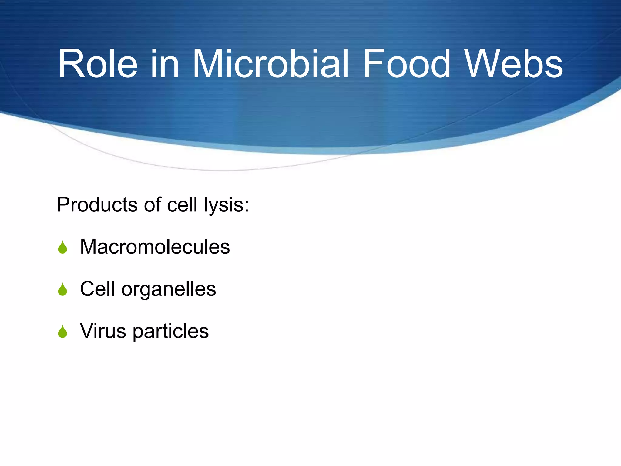 Role in Microbial Food WebsProducts of cell lysis: MacromoleculesCell organellesVirus particles
