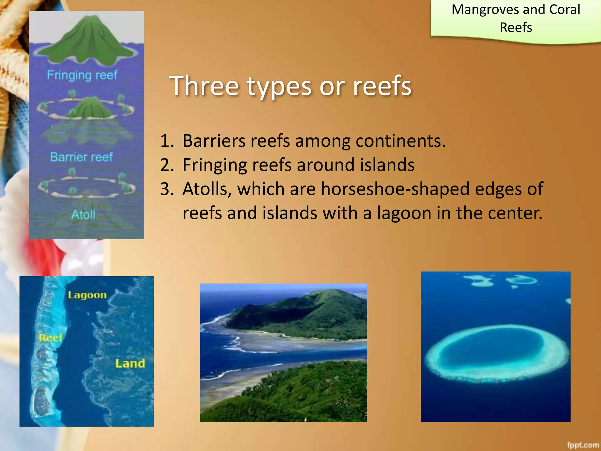 Mangroves and Coral
Reefs
Three types or reefs
1. Barriers reefs among continents.
2. Fringing reefs around islands
3. Atolls, which are horseshoe-shaped edges of
reefs and islands with a lagoon in the center.
 