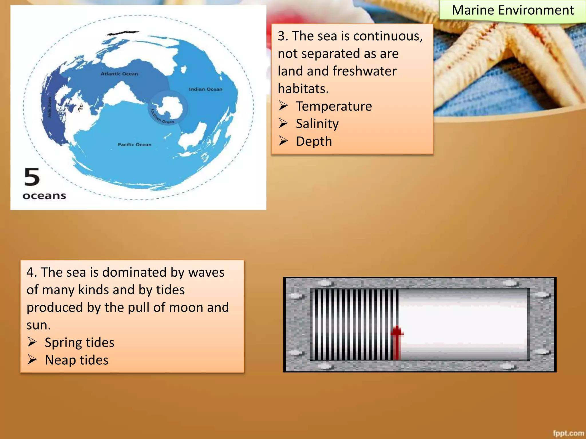 3. The sea is continuous,
not separated as are
land and freshwater
habitats.
 Temperature
 Salinity
 Depth
Marine Environment
4. The sea is dominated by waves
of many kinds and by tides
produced by the pull of moon and
sun.
 Spring tides
 Neap tides
 