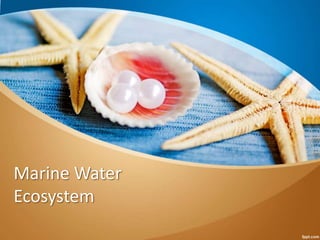 Marine Water
Ecosystem
 