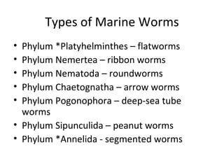 marine roundworms