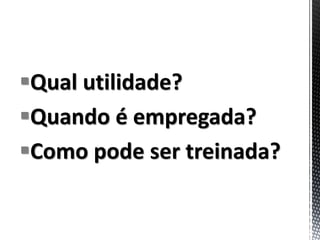 Qual utilidade?
Quando é empregada?
Como pode ser treinada?
 