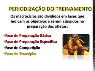 Os macrociclos são divididos em fases que
indicam os objetivos a serem atingidos na
preparação dos atletas:
 