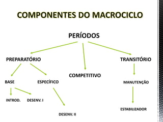 PERÍODOS
PREPARATÓRIO TRANSITÓRIO
BASE ESPECÍFICO
INTROD. DESENV. I
DESENV. II
MANUTENÇÃO
ESTABILIZADOR
COMPETITIVO
 