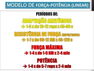 MODELO DE FORÇA-POTÊNCIA (LINEAR)
PERÍODOS DE:
 