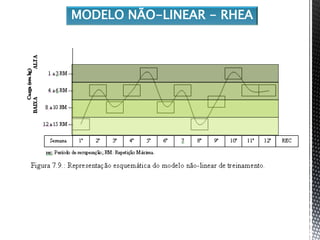 MODELO NÃO-LINEAR - RHEA
 
