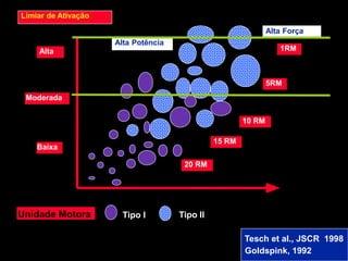 Limiar de Ativação
Alta
Moderada
Baixa
Unidade Motora
1RM
Alta Potência
Alta Força
5RM
10 RM
15 RM
20 RM
Tipo I Tipo II
Tesch et al., JSCR 1998
Goldspink, 1992
 