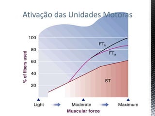 Ativação das Unidades Motoras
 