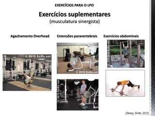 EXERCÍCIOS PARA O LPO
Exercícios suplementares
(musculatura sinergista)
Agachamento Overhead Extensões paravertebrais Exercícios abdominais
(Storey; Smith, 2012)
 