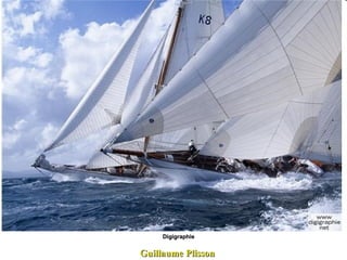 Guillaume Plisson Digigraphie 