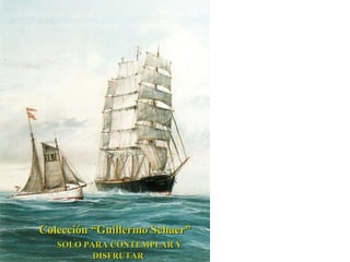 Colección “Guillermo Schaer”  SOLO PARA CONTEMPLAR Y DISFRUTAR 