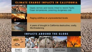Raging wildfires at unprecedented levels
4 years of drought in California destructive, costly,
life-threatening
Drought in
East Africa
Heat waves
Korea & China
Floods
in Jakarta
Typhoon Haiyan
Wildfires
in Australia
 