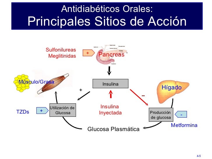 Terapias sensibilizadoras de insulina vs Terapias Terapias sensibilizadoras de insulina vs Terapias