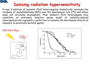 Ionizing radiation hypersensitivity
X-rays irradiation of neonatal Ptch1 heterozygotes dramatically increases the
incidence of medulloblastoma (81%) over the spontaneous rate (7%) and induce
basal cell carcinoma development. Thus, newborn Ptch1 heterozygous mice
constitute an extremely sensitive mouse model of radiation-induced
tumorigenesis and represent a useful tool to evaluate the detrimental effects of
exposure to potentially harmful agents.


250 kVp X Rays                                    100
                                                                                       0 Gy
                                                                                       3 Gy neonatal

                 3 Gy
                                                  80
                                                                                       3 Gy adult


                                   Survival (%)   60


                                                  40


                                                  20


                                                   0
                                                        0   20   40     60       80   100           120
                                                                      Age (w eeks)
 