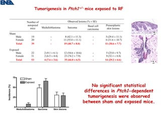Tumorigenesis in Ptch1+/- mice exposed to RF


                Number of                        Observed lesions (% ± SE)
                autopsied                                          Basal cell   Preneoplastic
                  mice      Medulloblastoma      Sarcoma                         skin lesions
                                                                   carcinoma
                                                                                                   50
Sham                                                                                               mm

       Male        19               -          8 (42.1 ± 11.3)         -         5 (29.4 ± 11.1)
       Female      20               -         11 (55.0 ± 11.1)         -         6 (31.6 ± 10.7)
       Total       39               -         19 (48.7 ± 8.0)          -        11 (30.6 ± 7.7)

Exposed
     Male          22         2 (9.1 ± 6.1)   12 (54.6 ± 10.6)         -         5 (25.0 ± 9.7)
     Female        31         2 (6.5 ± 4.4)   23 (74.2 ± 7.9)          -         9 (32.1 ± 8.8)
     Total         53         4 (7.6 ± 3.6)   35 (66.0 ± 6.5)          -        14 (29.2 ± 6.6)    50
                                                                                                   mm




                                                                      No significant statistical
                                                                  differences in Ptch1-dependent
                                                                    tumorigenesis were observed
                                                                 between sham and exposed mice.
 