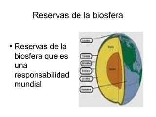 Reservas de la biosfera
●
Reservas de la
biosfera que es
una
responsabilidad
mundial