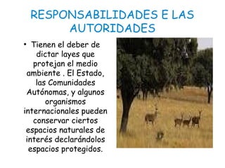 RESPONSABILIDADES E LAS
AUTORIDADES
Tienen el deber de
dictar layes que
protejan el medio
ambiente . El Estado,
las Comunidades
Autónomas, y algunos
organismos
internacionales pueden
conservar ciertos
espacios naturales de
interés declarándolos
espacios protegidos.
●