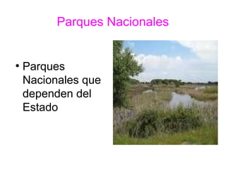Parques Nacionales
●
Parques
Nacionales que
dependen del
Estado