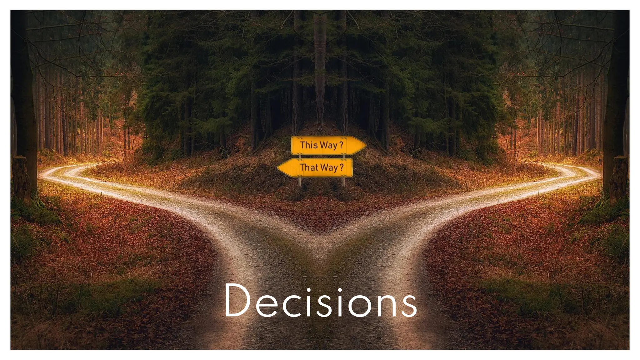16
Decisions
 