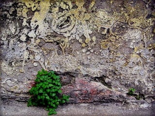 Que para que nos den también hay que saber cómo pedir. Que saber pedir no es regalarse. Que regalarse es, en definiva,  no quererse. 