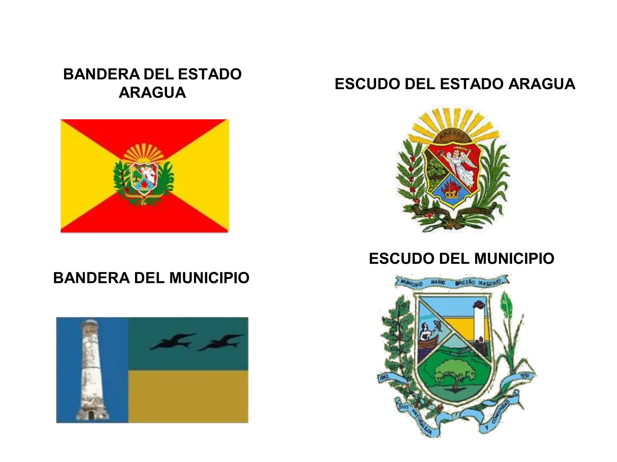 municipio mario briceño iragorry, estado aragua PPT